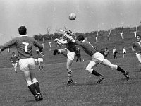 East Mayo v Ballina, Mayo senior match, June 1968 - Lyons0009880.jpg  East Mayo v Ballina, Mayo senior match, June 1968 : Ballina, East Mayo