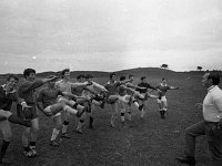 Garrymore training for county final, August 1970 - Lyons0010432.jpg  Garrymore training for county final, August 1970 : Garrymore