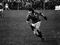 .J P. Kean in action at Mayo v Galway match, November 1974 - Lyons0011521.jpg  .J P. Kean in action at Mayo v Galway match, November 1974 : 19741124 J P Kane in action at Mayo v Galway match.tif, GAA, Kean, Lyons collection