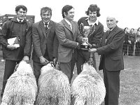 Sixth annual sheep and cattle sale in Achill, September 1975 - Lyons0017483.jpg  Prize-winners. Sixth annual sheep and cattle sale in Achill, September 1975 : 197509 Sixth Annual Sheep & Cattle Sale in Achill 1.tif, Achill, Farmers Journal, Lyons collection