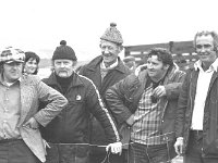 Sixth annual sheep and cattle sale in Achill, September 1975 - Lyons0017486.jpg  Sixth annual sheep and cattle sale in Achill, September 1975. : 197509 Sixth Annual Sheep & Cattle Sale in Achill 4.tif, Achill, Farmers Journal, Lyons collection