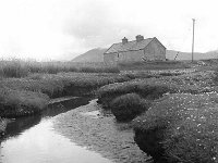 House in Saula - Achill scene, May 1971. - Lyons0017599.jpg  House in Saula - Achill scene, May 1971. : 1971 Misc, 19710530 House in Saula Achill scene 3.tif, Achill, Lyons collection