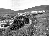 Typical Achill scene - turf stacked on the road side, May 1971.. - Lyons0017600.jpg  Typical Achill scene - turf stacked on the road side, May 1971. : 1971 Misc, 19710731 Typical Achill scene - turf stacked on the road side.ti, 19710731 Typical Achill scene - turf stacked on the road side.tif, Achill, Lyons collection