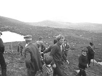 Fencing in the mountains in Achill, June 1972.. - Lyons0017610.jpg  Fencing in the mountains in Achill, June 1972. : 1972 Misc, 19720611 Fencing in the mountains in Achill 1.tif, Achill, Lyons collection