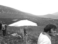 Fencing in the mountains in Achill, June 1972.. - Lyons0017611.jpg  Fencing in the mountains in Achill, June 1972. : 1972 Misc, 19720611 Fencing in the mountains in Achill 2.tif, Achill, Lyons collection