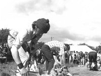 Achill co-op sheep-shearing competition, June 1976. - Lyons0017653.jpg  Achill co-op sheep-shearing competition, June 1976. : 19760620 Achill Co-op Shearing Competition 3.tif, Achill, Farmers Journal, Lyons collection