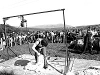 Achill co-op sheep-shearing competition, June 1976. - Lyons0017657.jpg  Achill co-op sheep-shearing competition, June 1976. : 19760620 Achill Co-op Shearing Competition 7.tif, Achill, Farmers Journal, Lyons collection