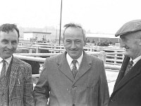 First sale at Balla mart. October 1972 - Lyons0016622.jpg  First sale at Balla mart. October 1972 : 19721005 First Sale at Balla Mart 3.tif, Farmers Journal, Lyons collection