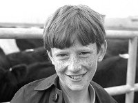 First sale at Balla mart. October 1972 - Lyons0016623.jpg  Young boy at the mart. First sale at Balla mart. October 1972 : 19721005 First Sale at Balla Mart 4.tif, Farmers Journal, Lyons collection