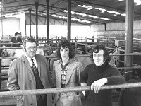 Licensing of cross-bred bulls at Balla Mart, September 1975. - Lyons0016642.jpg  At the registration of cross-bred bulls at Balla mart, September 1975.    L-R : Mr Tom Niland, Balla; Stephen and Sean Langan, Westport.    Neg B3  At the registration of cross-bred bulls at Balla mart.    L-R : Mr Tom Niland, Balla; Stephen and Sean Langan, Westport.    Neg B3  At the registration of cross-bred bulls at Balla mart.    L-R : Mr Tom Niland, Balla; Stephen and Sean Langan, Westport.    Neg B3 Licensing of cross-bred bulls at Balla mart. : 19750923 Licensing of cross-bred bulls at Balla Mart 1.tif, Farmers Journal, Lyons collection