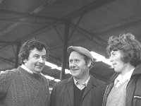 Licensing of cross-bred bulls at Balla Mart, September 1975. - Lyons0016643.jpg  Licensing of cross-bred bulls at Balla mart, September 1975. Attending; left to right : Michael Mc Neela, Breaffy; John Cawley, Castlebar and Peter Gallagher, Ballina. : 19750923 Licensing of cross-bred bulls at Balla Mart 2.tif, Farmers Journal, Lyons collection