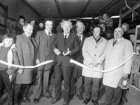 Ffirst cattle sales at the Balla mart, February 1976. - Lyons0016646.jpg  T J Maher President of the NFA (IFA) cutting the tape for the official opening and first cattle sales at the Balla mart, February 1976. : 19760214 Sales of the first animals at Balla Mart 1.tif, Farmers Journal, Lyons collection