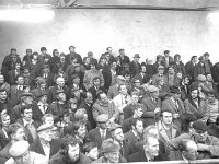 Ffirst cattle sales at the Balla mart, February 1976. - Lyons0016651.jpg  Sales of the first animals at Balla Mart,  February 1976. : 19760214 Sales of the first animals at Balla Mart 6.tif, 19760214 Sales of the first animals at Balla Mart 7.tif, Farmers Journal, Lyons collection