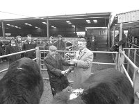 Balla mart, February 1977. - Lyons0016665.jpg  Tom Butler, Manager of Balla mart congratulating the Cup winner at the mart.Balla Mart,  February 1977. : 19770224 Balla Mart 6.tif, Balla Mart, Lyons collection