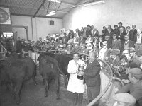 Balla Mart, September 1978 - Lyons0016688.jpg  Joe Dowd, Claremorris a winner again.  Balla Mart, September 1978 : 19780907 Balla Mart 4.tif, Balla Mart, Lyons collection