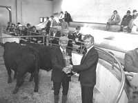 Balla mart and show sale, October 1980. - Lyons0016702.jpg  Balla mart and show sale, October 1980. : 19801002 Balla Mart 5.tif, Balla Mart, Lyons collection