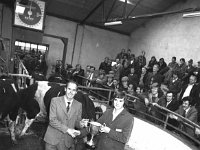 Balla Mart, October1981. - Lyons0016708.jpg  Show and sales. Prizewinners.  Balla Mart, October1981. : 19811008 Balla Mart 3.tif, Balla Mart, Lyons collection