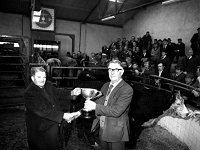 Balla Mart, October1981. - Lyons0016711.jpg  Show and sales. Prizewinners.  Balla Mart, October1981. : 19811008 Balla Mart 6.tif, Balla Mart, Lyons collection