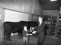 Balla Mart, September 1982.. - Lyons0016714.jpg  Very young farmer receiving the O' Malley Cup from Brendan O' Malley O' Malley Accountants, Castlebar. Balla Mart, September 1982. : 19820909 Balla Show & Sale 2.tif, Balla Mart, Lyons collection