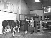 Balla Mart, September 1982.. - Lyons0016715.jpg  Lady farmer winner at Balla mart show and sale.  September 1982. : 19820909 Balla Show & Sale 3.tif, Balla Mart, Lyons collection