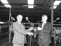 Balla Mart. October 1986.. - Lyons0016731.jpg  Cup winner at Balla Mart. October 1986. : 19861018 Balla Mart 5.tif, Balla Mart, Lyons collection