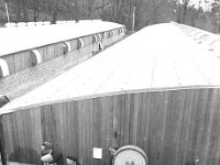 New pig fattening station in Balla. March 1969. - Lyons0016535.jpg  First pigs to arrive at the new pig fattening station in Balla. March 1969. : 19690313 Pig station in Balla 1.tif, Farmers Journal, Lyons collection