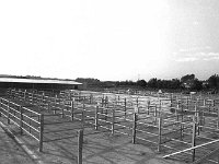 New Cattle Mart in Balla, September 1972. - Lyons0016568.jpg  New Cattle Mart in Balla, September 1972. : 1972 Misc, 19720923 New Cattle Mart in Balla 3.tif, Lyons collection