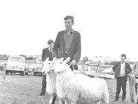 Western Health Board Training Centre, Ballina, November 1995. - Lyons0017144.jpg  Ballina Show, August 1966. : 19660818 Ballina Show 2.tif, Ballina, Farmers Journal, Lyons collection