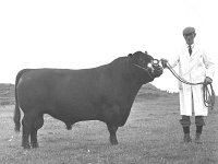 Western Health Board Training Centre, Ballina, November 1995. - Lyons0017146.jpg  Ballina Show, August 1966. : 19660818 Ballina Show 4.tif, Ballina, Farmers Journal, Lyons collection