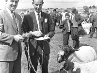 Western Health Board Training Centre, Ballina, November 1995. - Lyons0017148.jpg  Ballina Show, August 1966. : 19660818 Judges at the Ballina show 1.tif, Ballina, Farmers Journal, Lyons collection