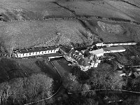 Young Ballina Boy fishing on the Moy, July 1967. - Lyons0017180.jpg  Aerial view of Ballina, November 1967.