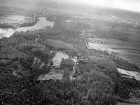 Young Ballina Boy fishing on the Moy, July 1967. - Lyons0017181.jpg  Aerial view of Ballina, November 1967.