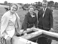 Open day at the Mc Andrew farm in Ballina, July 1969. - Lyons0017199.jpg  Open day at the Mc Andrew farm in Ballina, July 1969. : 19690730 Open day at the Mc Andrew farm Ballina 4.tif, Ballina, Farmers Journal, Lyons collection