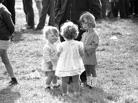 Ballina Agricultural Show, August 1971. - Lyons0017248.jpg  Ballina Agricultural Show, August 1971. : 19710817 Ballina Agricultural Show 1.tif, Ballina, Farmers Journal, Lyons collection