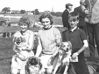 Ballina Agricultural Show, August 1971. - Lyons0017251.jpg  Ballina Agricultural Show, August 1971. : 19710817 Ballina Agricultural Show 4.tif, Ballina, Farmers Journal, Lyons collection