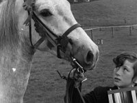 Winner at the Ballina Show  1972. - Lyons0017276.jpg  Winner at the Ballina Show with his Connemara pony, September 1972. : 1972 Misc, 19720901 Master Lydon at the Ballina Show.tif, Ballina, Lyons collection