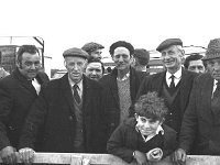 Ballina sheep and lamb sales, June 1973. - Lyons0017284.jpg  Ballina sheep and lamb sales, June 1973. : 19730614 Ballina sheep and lamb sale 2.tif, Ballina, Farmers Journal, Lyons collection