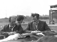 Ballina mart, May 1975.. - Lyons0017301.jpg  Ballina mart, May 1975. : 19750519 Ballina Mart 5.tif, Ballina, Farmers Journal, Lyons collection