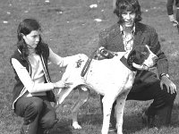 Ballina Show, August 1975. - Lyons0017307.jpg  Ballina Show, August 1975.. : 19750821 Ballina Show 5.tif, Ballina, Farmers Journal, Lyons collection