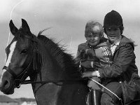 Ballina Show, August 1975. - Lyons0017308.jpg  Ballina Show, August 1975.. : 19750821 Ballina Show 6.tif, Ballina, Farmers Journal, Lyons collection