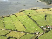 Hay saved on the shores of Lough Mask, August 1985. - Lyons0016768.jpg  Hay saved on the shores of Lough Mask, August 1985. : 198508 Saved Hay.tif, Ballinrobe, Lyons collection