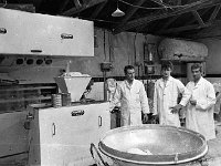 Western Pride Bakery. Ballinrobe, October 1968. - Lyons0016815.jpg  Staff members in the bakery, Westewrn Pride,  Ballinrobe, October 1968. : 19681028 Western Pride 11.tif, Ballinrobe, Lyons collection