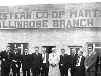 Opening of Ballinrobe cattle mart, November 1969. - Lyons0016850.jpg  Opening of Ballinrobe cattle mart, November 1969. : 19691101 Opening of Ballinrobe Cattle Mart 6.tif, Ballinrobe, Farmers Journal, Lyons collection