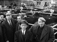 Opening of Ballinrobe cattle mart, November 1969. - Lyons0016852.jpg  Opening of Ballinrobe cattle mart, November 1969. At left Mick Mc greal, Westport and at right Sab King, Westport. : 19691105 Ballinrobe Cattle Mart 2.tif, Ballinrobe, Farmers Journal, Lyons collection