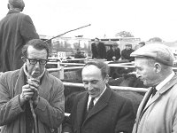 Opening of Ballinrobe cattle mart, November 1969. - Lyons0016855.jpg  Ballinrobe cattle mart, November 1969. : 19691105 Ballinrobe Cattle Mart 5.tif, Ballinrobe, Farmers Journal, Lyons collection