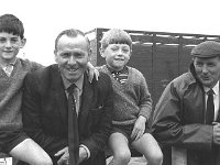 Ballinrobe mart, August 1970.. - Lyons0016872.jpg  Ballinrobe mart, August 1970. : 19700818 Ballinrobe Mart 2.tif, Ballinrobe, Farmers Journal, Lyons collection