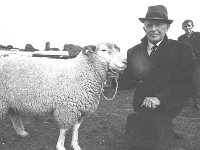 Ballinrobe show, September 1970. - Lyons0016877.jpg  Ballinrobe show, September 1970. : 1970 Misc, 19700910 Ballinrobe show ( for the Irish Independent ) 4.tif, Ballinrobe, Lyons collection