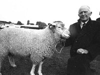 Ballinrobe show, September 1970. - Lyons0016880.jpg  Ballinrobe show, September 1970. : 1970 Misc, 19700910 Ballinrobe show ( for the Irish Independent )6.tif, Ballinrobe, Lyons collection