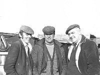 Ballinrobe mart, February 1972. - Lyons0016905.jpg  Ballinrobe mart, February 1972. : 19720223 Ballinrobe Mart 1.tif, Ballinrobe, Farmers Journal, Lyons collection