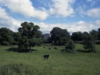 Grounds of Currach Mor House, Ballinrobe, June 1972. - Lyons0016924.jpg  Grounds of Currach Mor House, Ballinrobe, June 1972. : 19720629 Grounds of Currach Mor House 2.tif, Ballinrobe, Lyons collection